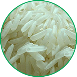 basmati-kainaat-white-rice-3